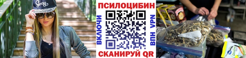 Галлюциногенные грибы ЛСД  что такое   блэк спрут как зайти  Дмитров 